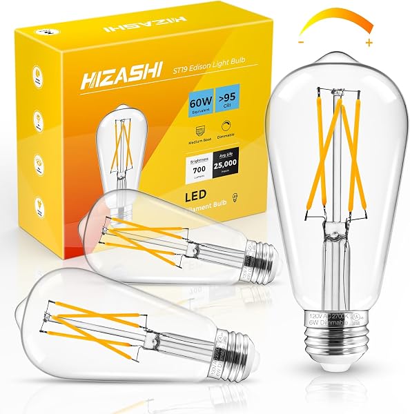 Hizashi LED Edison Bulbs ST19 Light Bulbs 60W E26 LED Bulbâ€¦