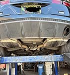 Review Image by Wayne Wayne