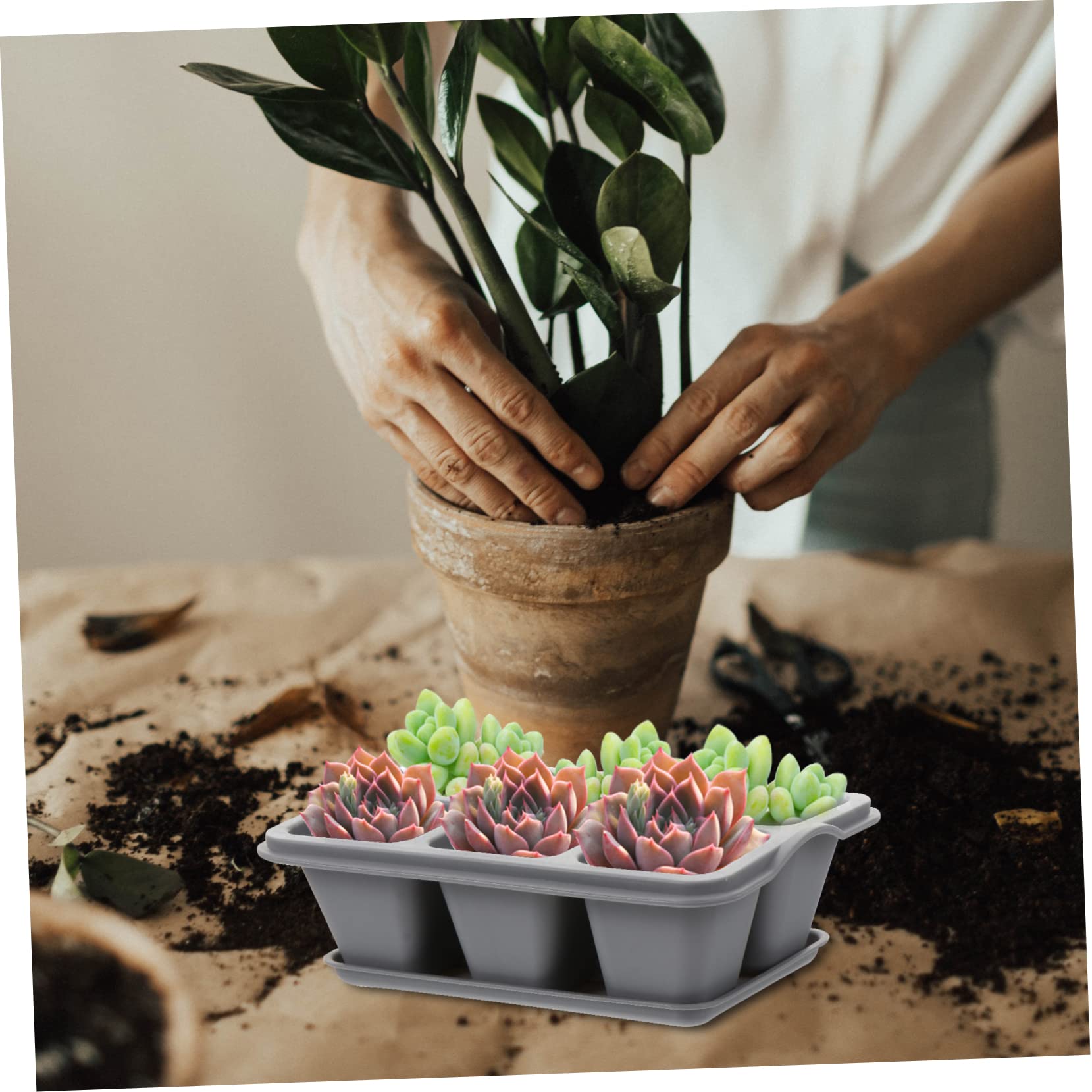 TOYANDONA 2 Ensembles Pot De Fleurs Succulentes Pots pour Plantes Extérieures Kit De Plateaux De Démarrage Soucoupe Herbe Jardinière Succulent Pot De Jardinière Plastique Gris 4 Pièces * 2