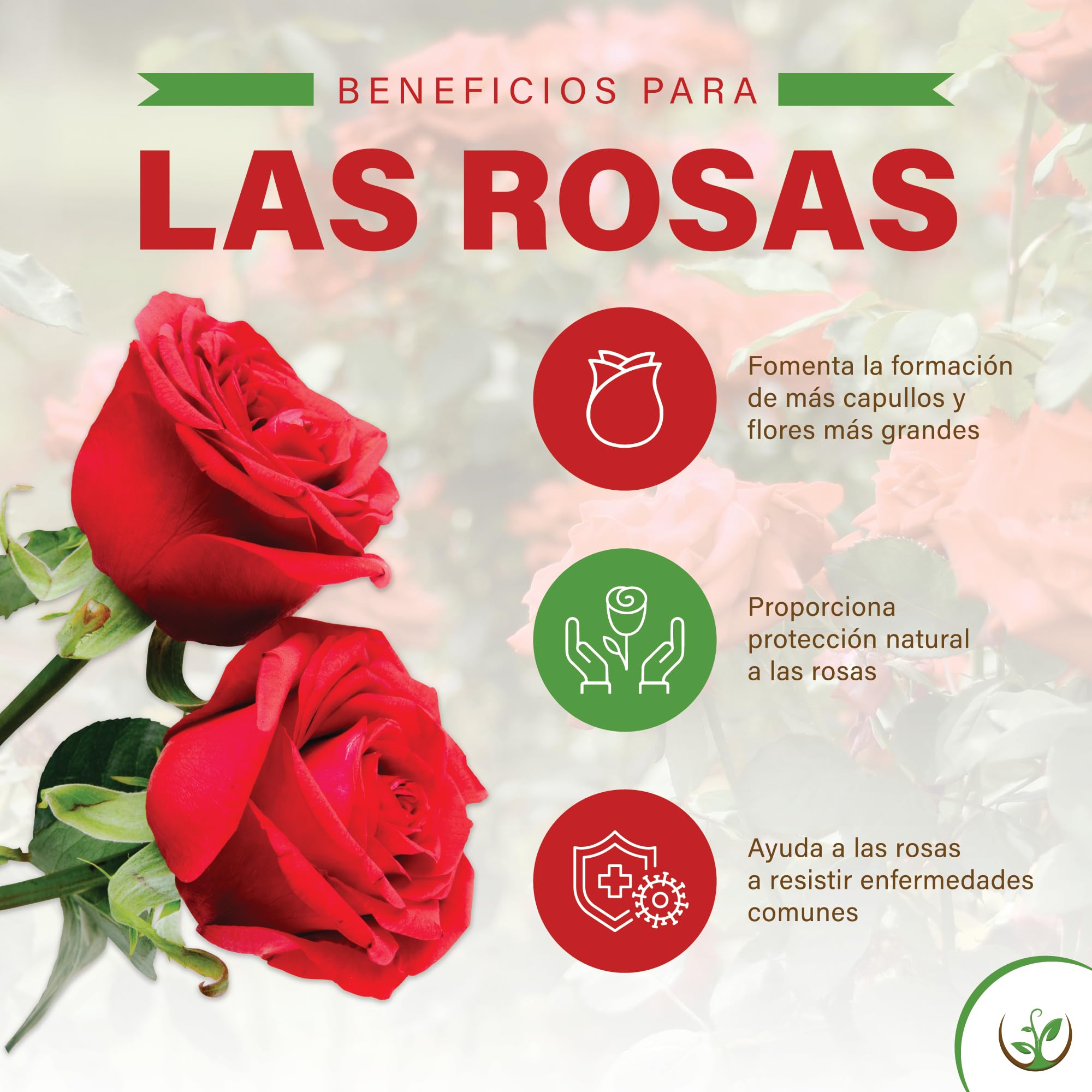 Fertilizante Microbiológico Hortulani para Rosales - con Potentes Microorganismos para Jardines en Flor - ¡Transforma tu Suelo, Cultiva el Éxito! (500 g por 5-10 rosas)