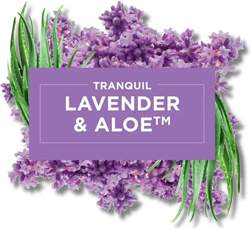 Miniatura 5 de GLE Glade - Ambientador, aerosol para habitación, lavanda tranquila y aloe, 8 onzas, 2 paquetes