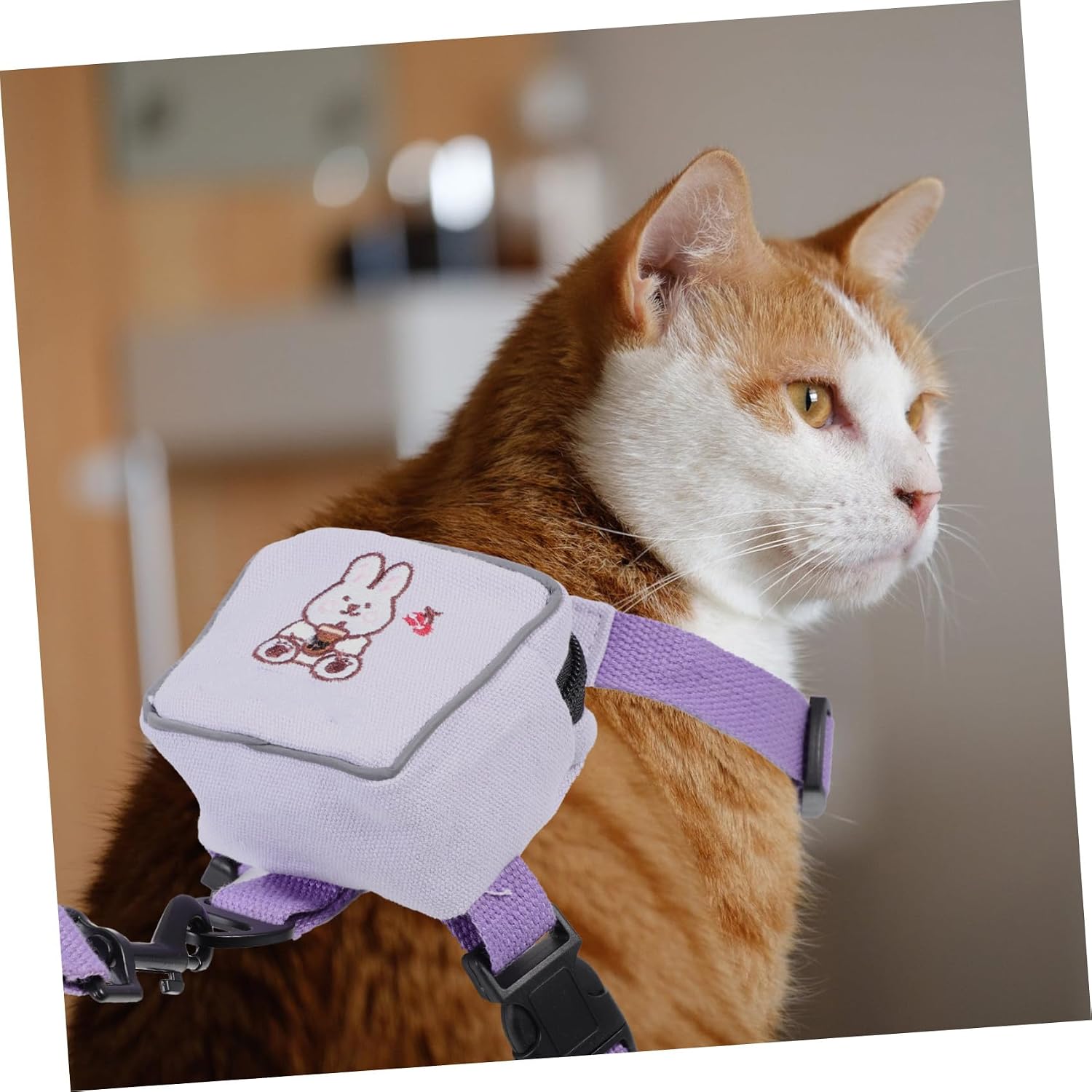 Cat Vest Leash Backpack Harness with Comfortable Hanging Rope Purple | Polyester Build, Hand Control and Ergonomic Wear, for Pet Training and Outings, Suitable 1.5 to 3.5kg