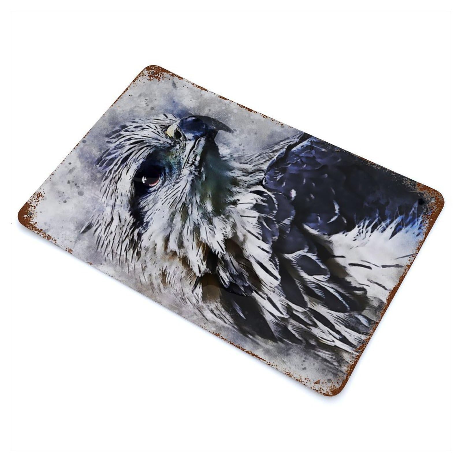 Paint Eagle 11.8"x7.9" Rust Effect Tin Sign, Industrial Home Decor for Living Room, Hallway And Home Decor