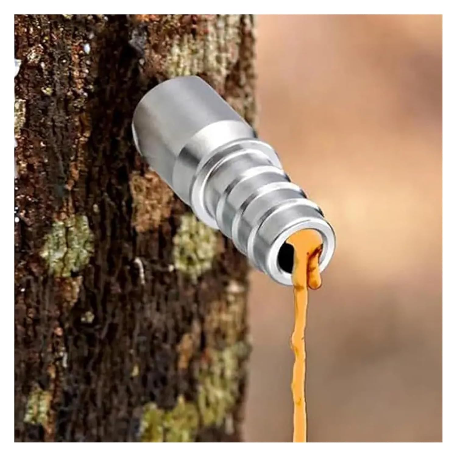 Stainless Steel Maple Syrup Tapping Kit 4 Set Sap Spiles with Hooks for Home Garden