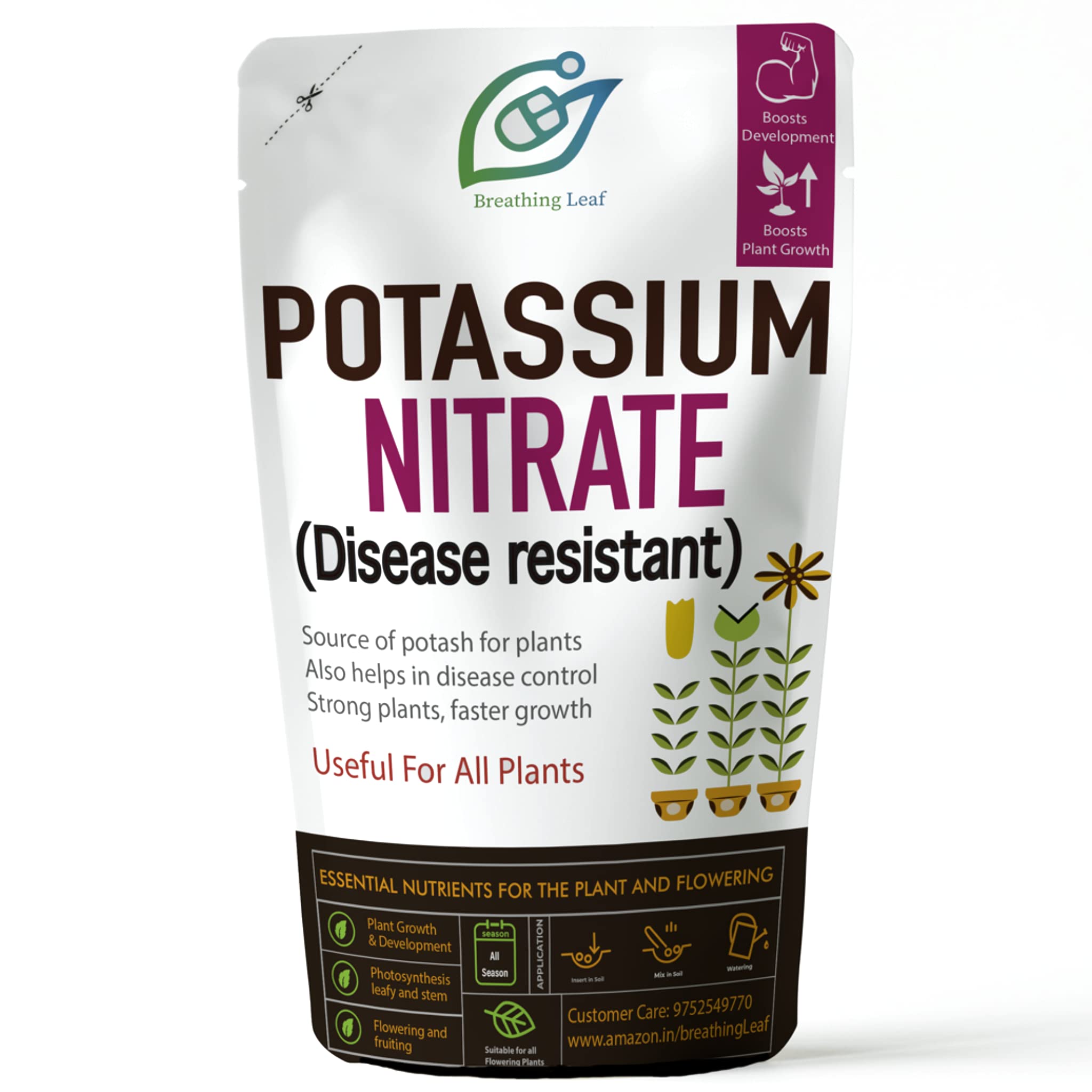 BreathingLeaf Potassium Nitrate For Gardening Plants | Nitrate For Strong Plants | Faster Growth (400 Gm), Powder (B09GMVDR3B) Amazon Price History, Amazon Price Tracker