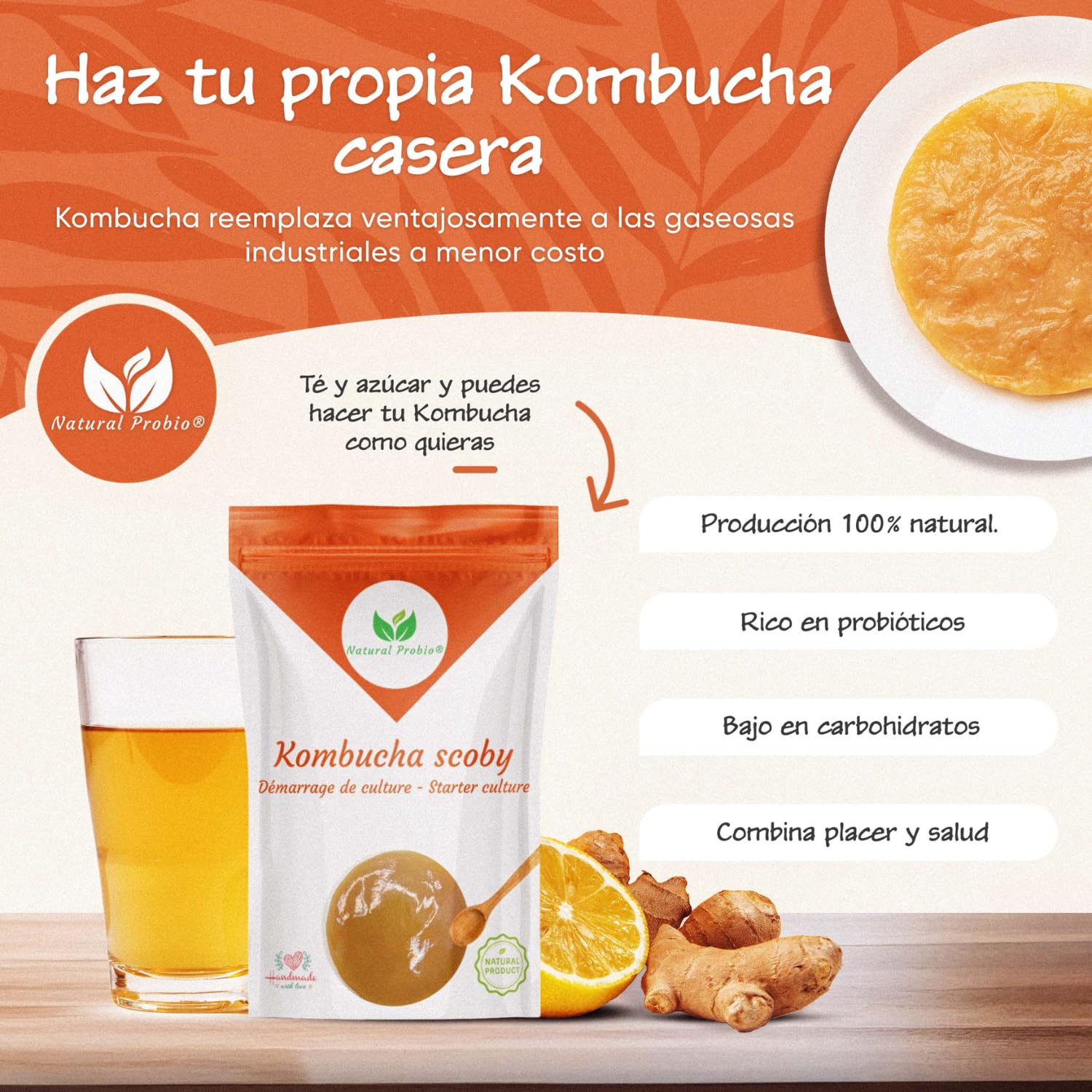 Natural Probio Original Kombucha Scoby Kit de inicio cultivo auténtica cepa madre instrucciones receta consejos