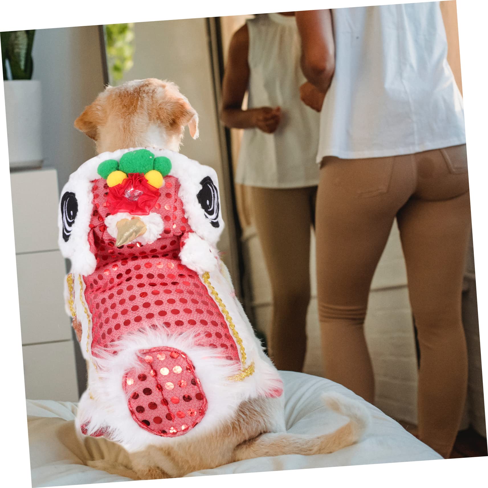 Kisangel 2stücke Cartoon Hundekostüm Für Neujahr Rotes Löwenkostüm Für Haustiere Festliche Hundekleidung Für Partys Süßes Outfit Für Hunde Und Welpen Für Feste Und Feiern