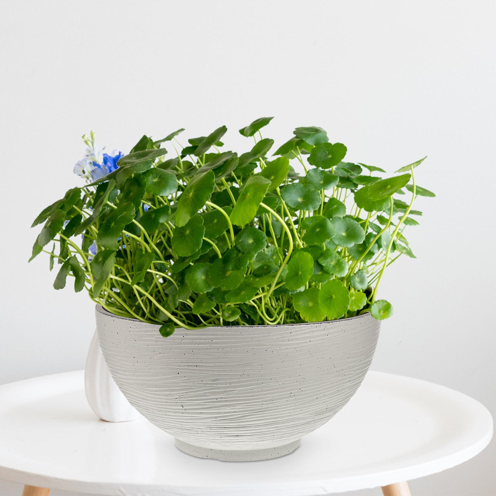 PACKOVE Pot de Fleur Intérieur Blanc Grand de Plantation Hydroponique pour Lotus et Nénuphar Jardinière Décorative Légère pour Balcon et Bureau Couleur Aléatoire
