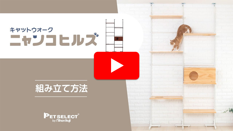 Amazon | PET SELECT (ペットセレクト) キャットタワー キャット