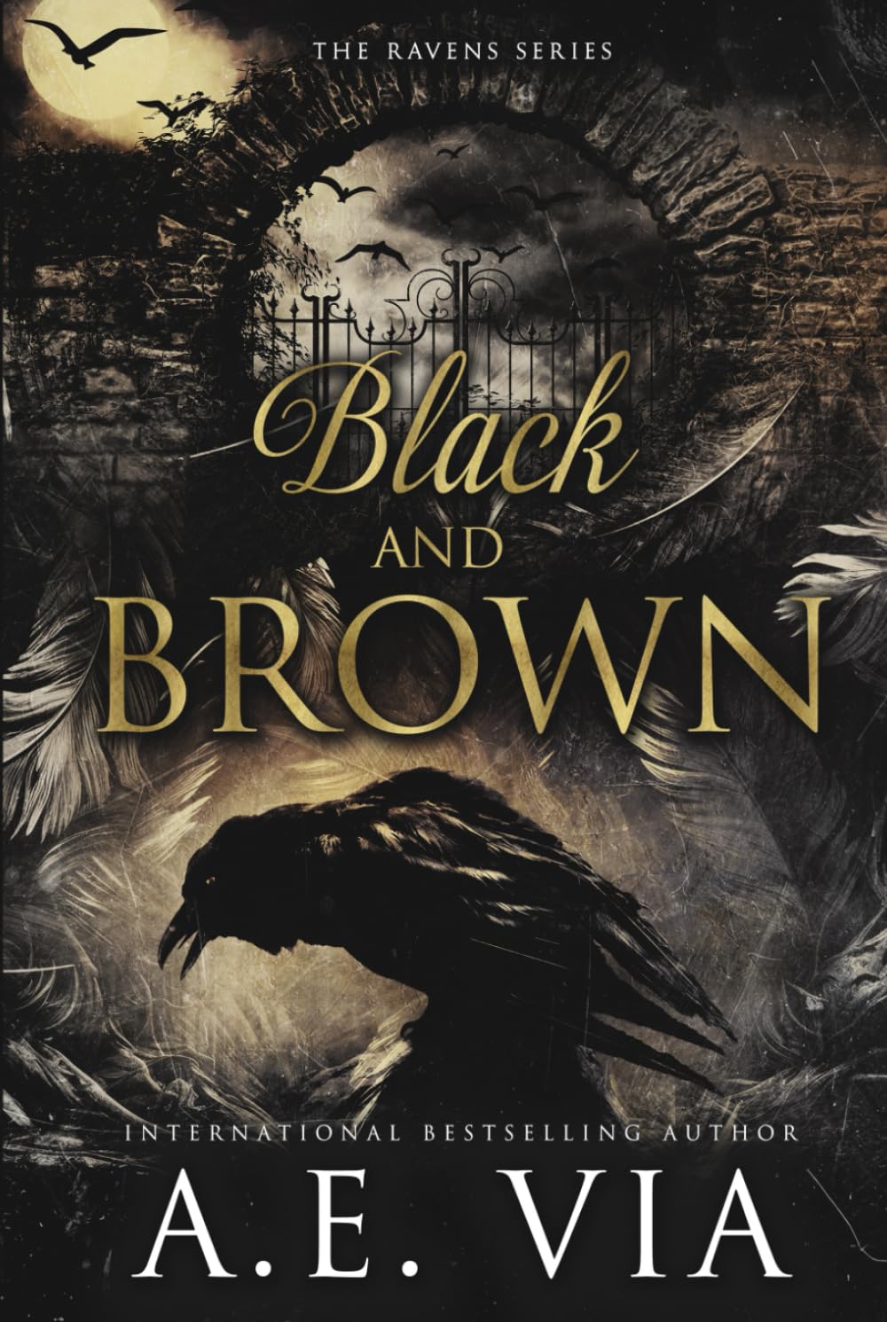 Black and Brown: Raven Assassins (Ravens Series)