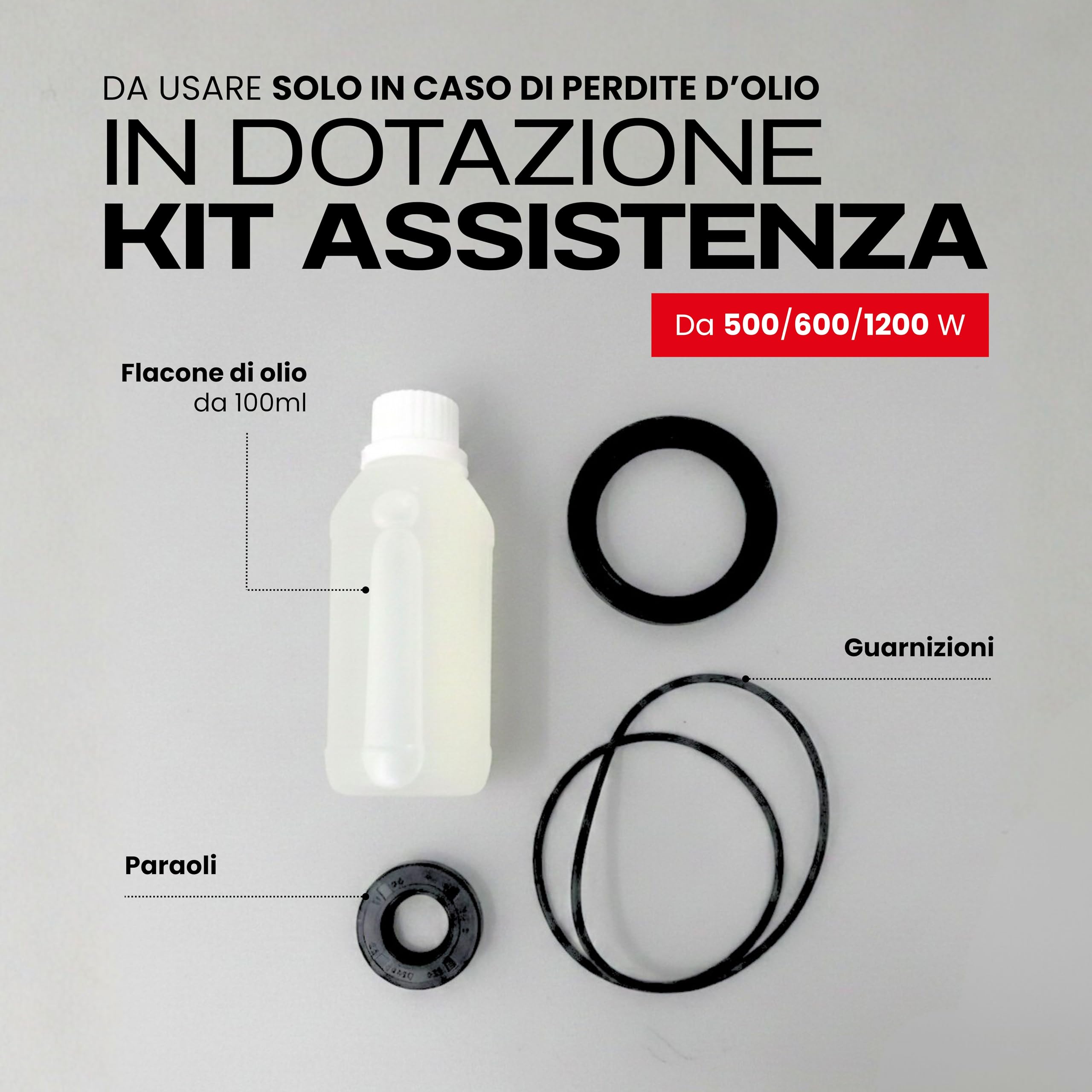 Reber Spremipomodoro Elettrico N.5 500W per Salsa di Pomodoro e Conserve | per Marmellate e Succhi di Frutta, Produzione fino a 340 Kg/h, Accessori in Acciaio Inox, Motore a Induzione per Uso Continuo