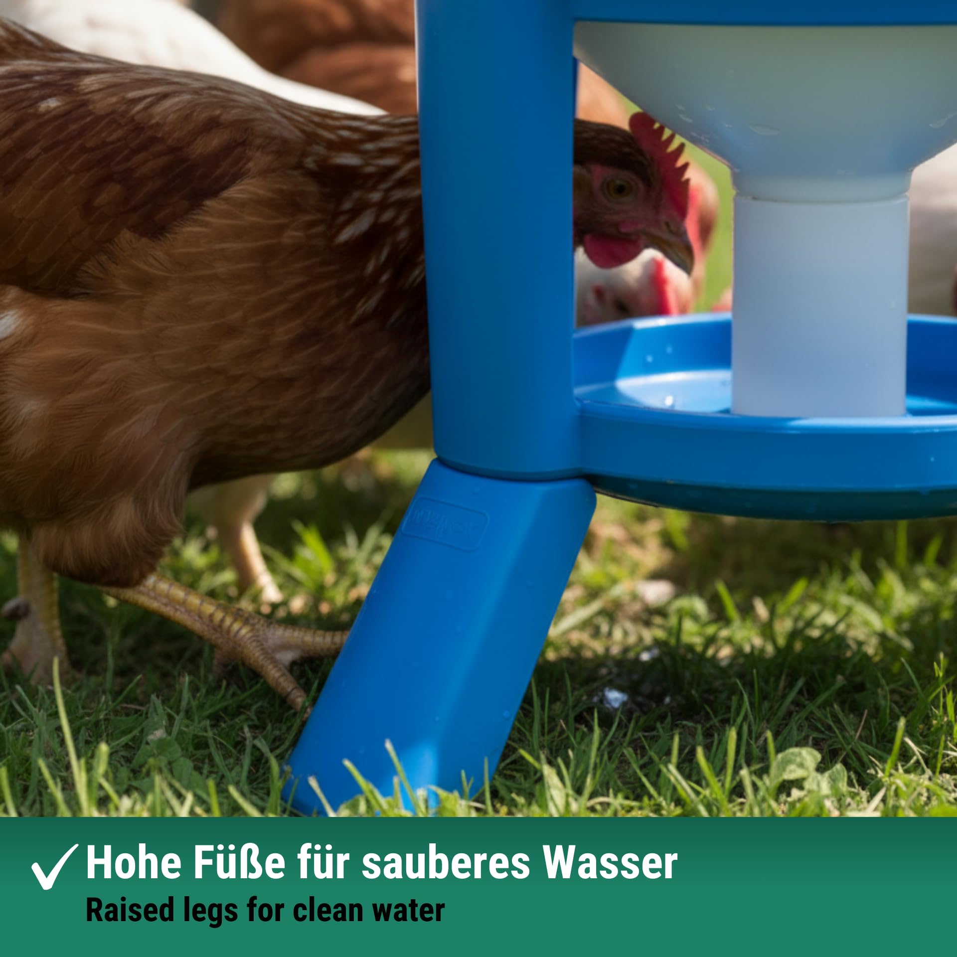 Agrarzone Geflügeltränke 50 Liter mit Füßen Hühnertränke Hühner Geflügel | Tragegriff, automatisch, Hühner, Enten, Geflügel