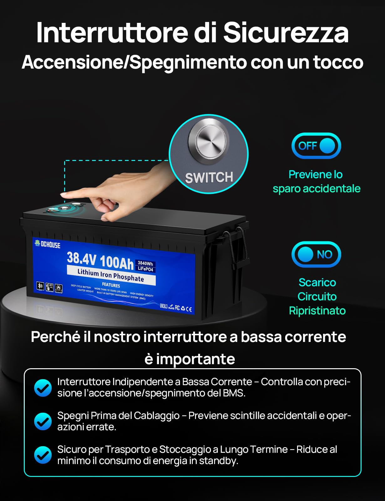DCHOUSE 36V 100Ah Batteria al Litio Lifepo4 da 36V 25A Charger