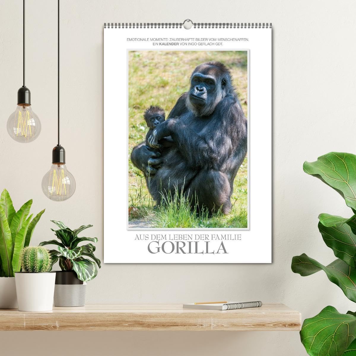 Emotionale Momente: Aus dem Leben der Familie Gorilla. (Wandkalender 2026 DIN A2 hoch), CALVENDO Monatskalender: Zauberhafte Bilder von unserem ... von Ingo Gerlach GDT. (CALVENDO Tiere)