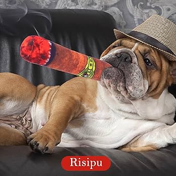 Risipu Jouet pour chien, cigarette, jouet pour chien, jouet pour animaux de  compagnie, accessoires molaires, jouet pour chien craquant : Amazon.fr:  Animalerie