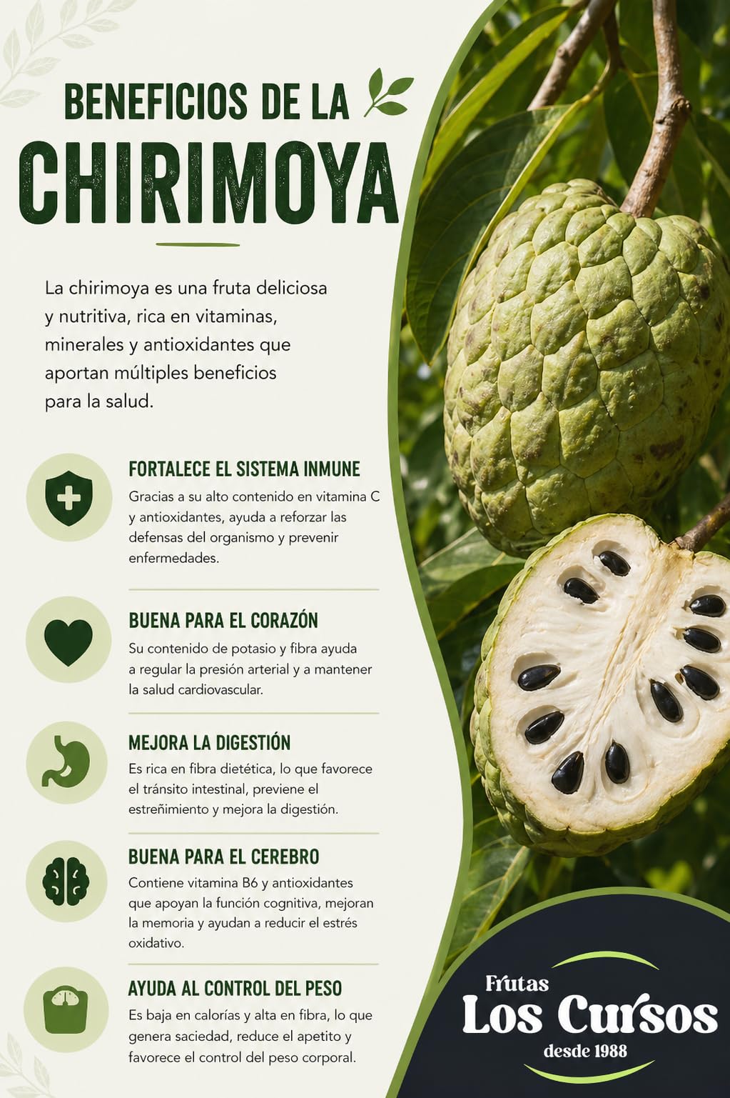 Chirimoya Pack 4 kg - Chirimoya origen España - Compra chirimoyas de la costa tropical de Granada.