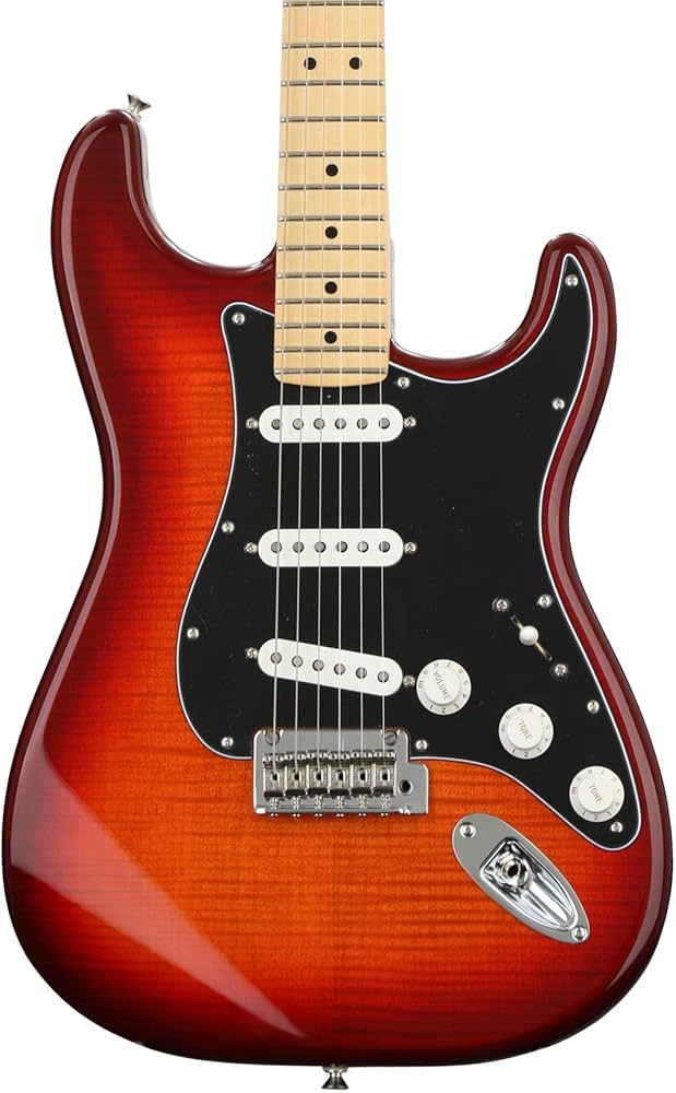 Fender Electric Guitar Player Strat Plus Top Maple Aged Cherry
