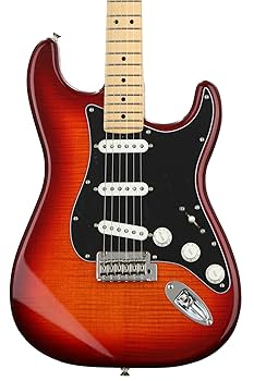 ギター Fender STRATOCASTER PLAYER PLUS OLP Amazon | Fender エレキギター Player Plus Stratocaster