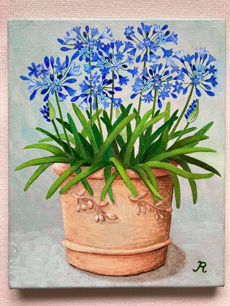 71m-Zsw5b3L._UF894,1000_QL80_.jpg