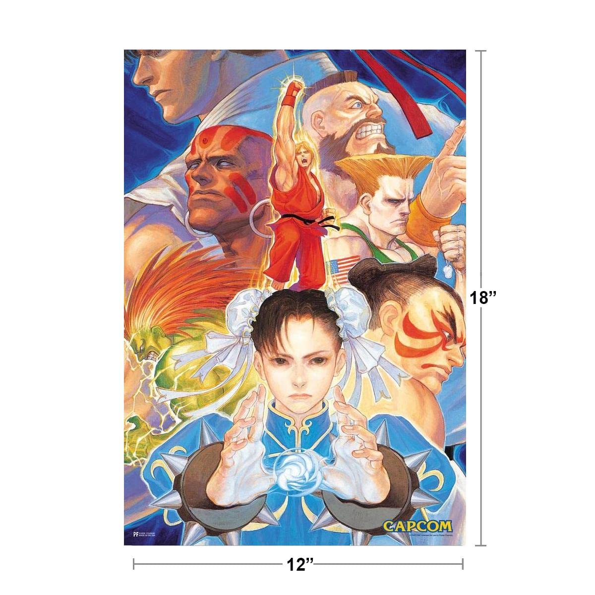 Amazon.com: Street Fighter 2 Group Art CAPCOM 電玩遊戲商品玩家經典 