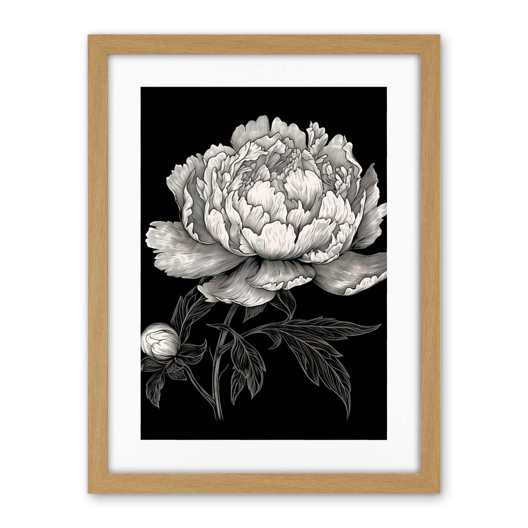 Artery8 A Peony Flower Bloom Black and White Blind Contour Artwork Framed Wall Art Print 18X24 Inch