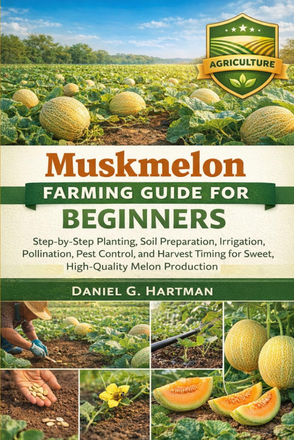Muskmelon Farming Guide for Beginners: Step-by-Step Planting, Soil Preparation, Irrigation, Pollination, Pest Control, and Harvest Timing for Sweet, High-Quality Melon Production