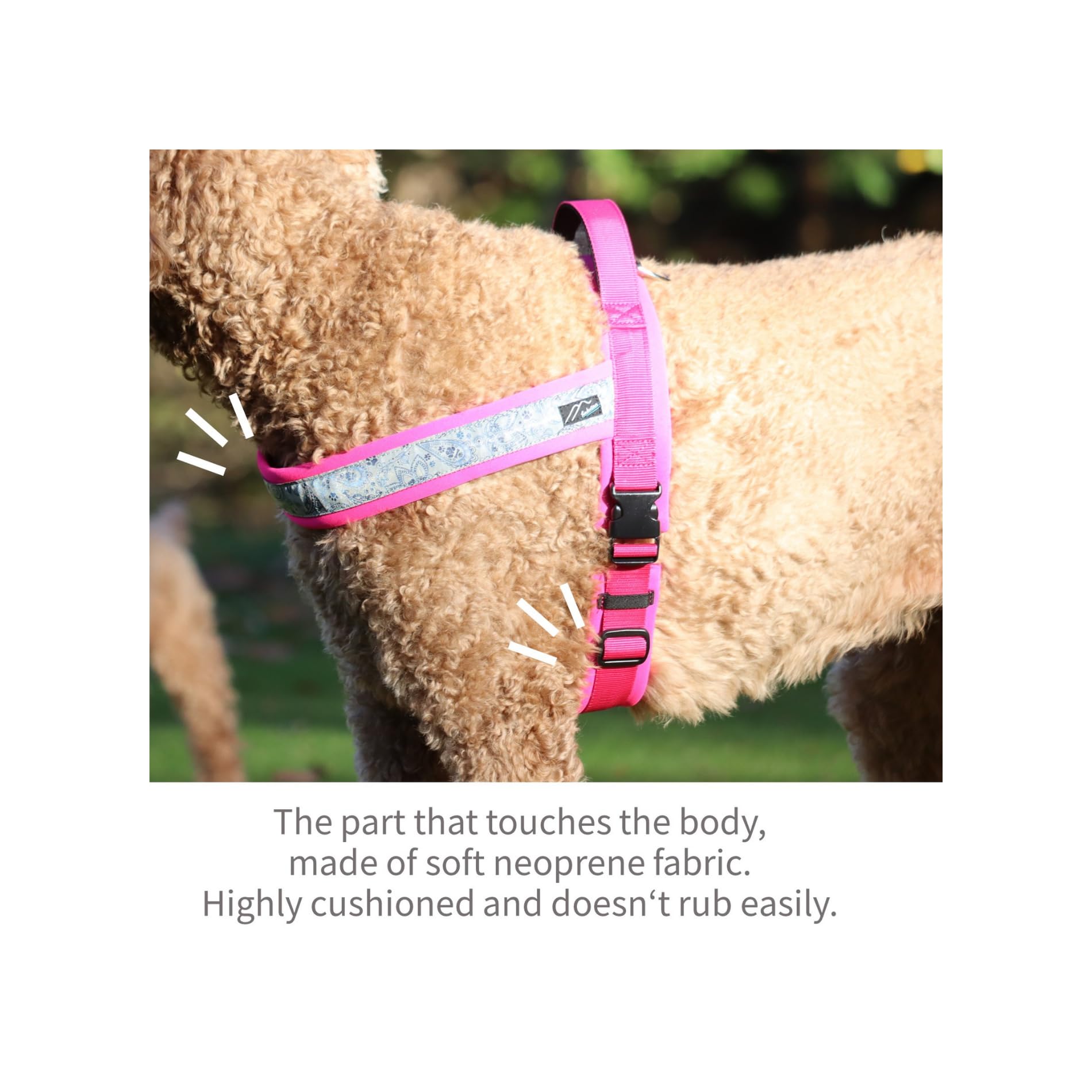 Hakusan - Pettorina per cani con drago, realizzata a mano, sicura, senza stress, con buskles one-touch, indossabile velocemente, riflettore, utile hundle, 1,5 - cane medio, nero × turchese