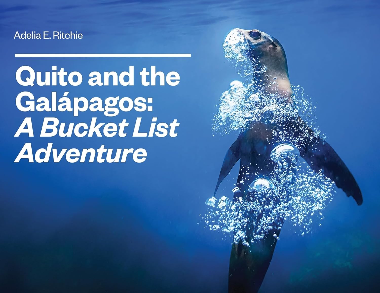 Quito and the Galápagos: A Bucket List Adventure: A Bucket List Adventure      Paperback – August 18, 2025