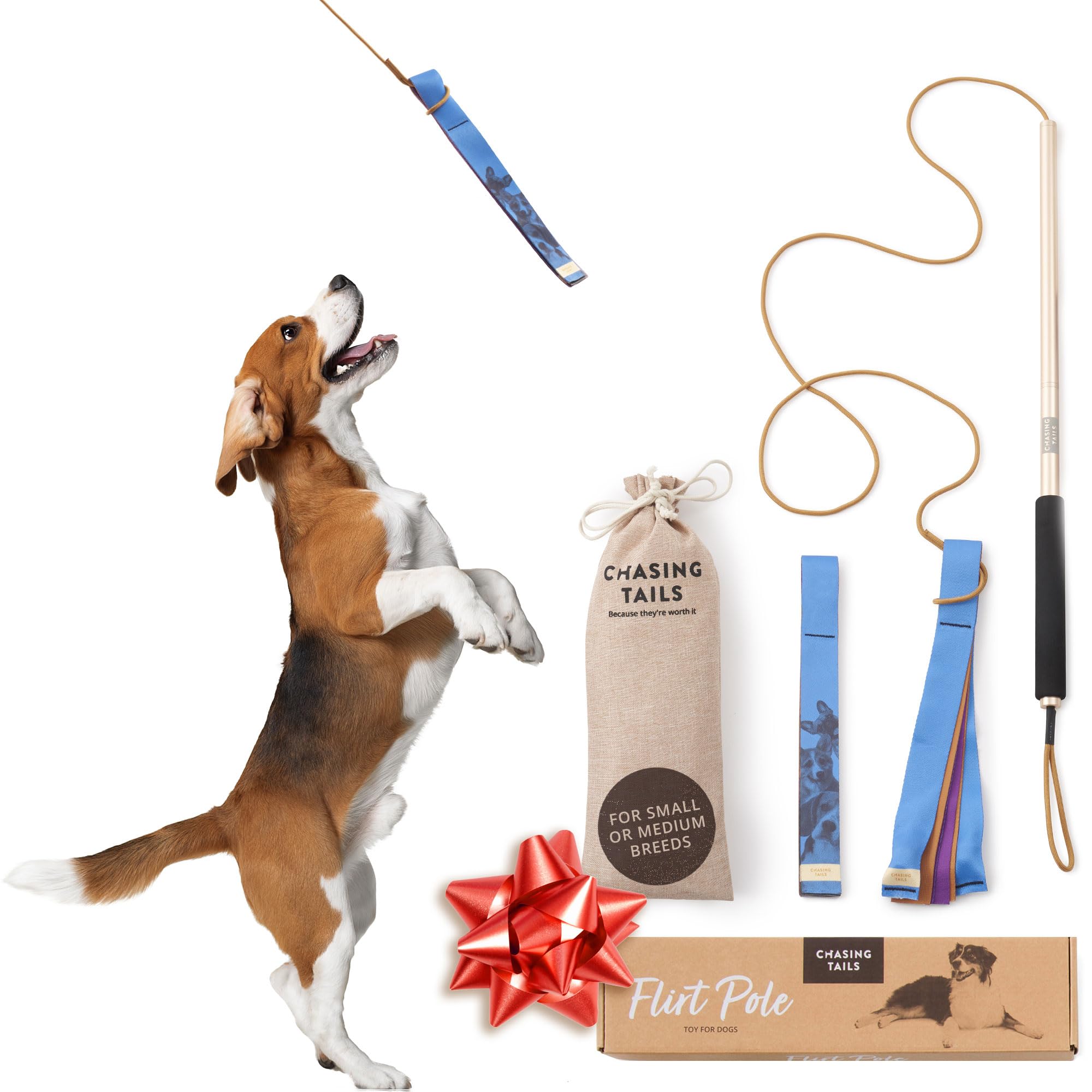 Chasing Tails Flirt Pole for Dogs & Cats, Sturdy Aluminum Flirt Pole for Large Dogs & Small Pets Exercise
