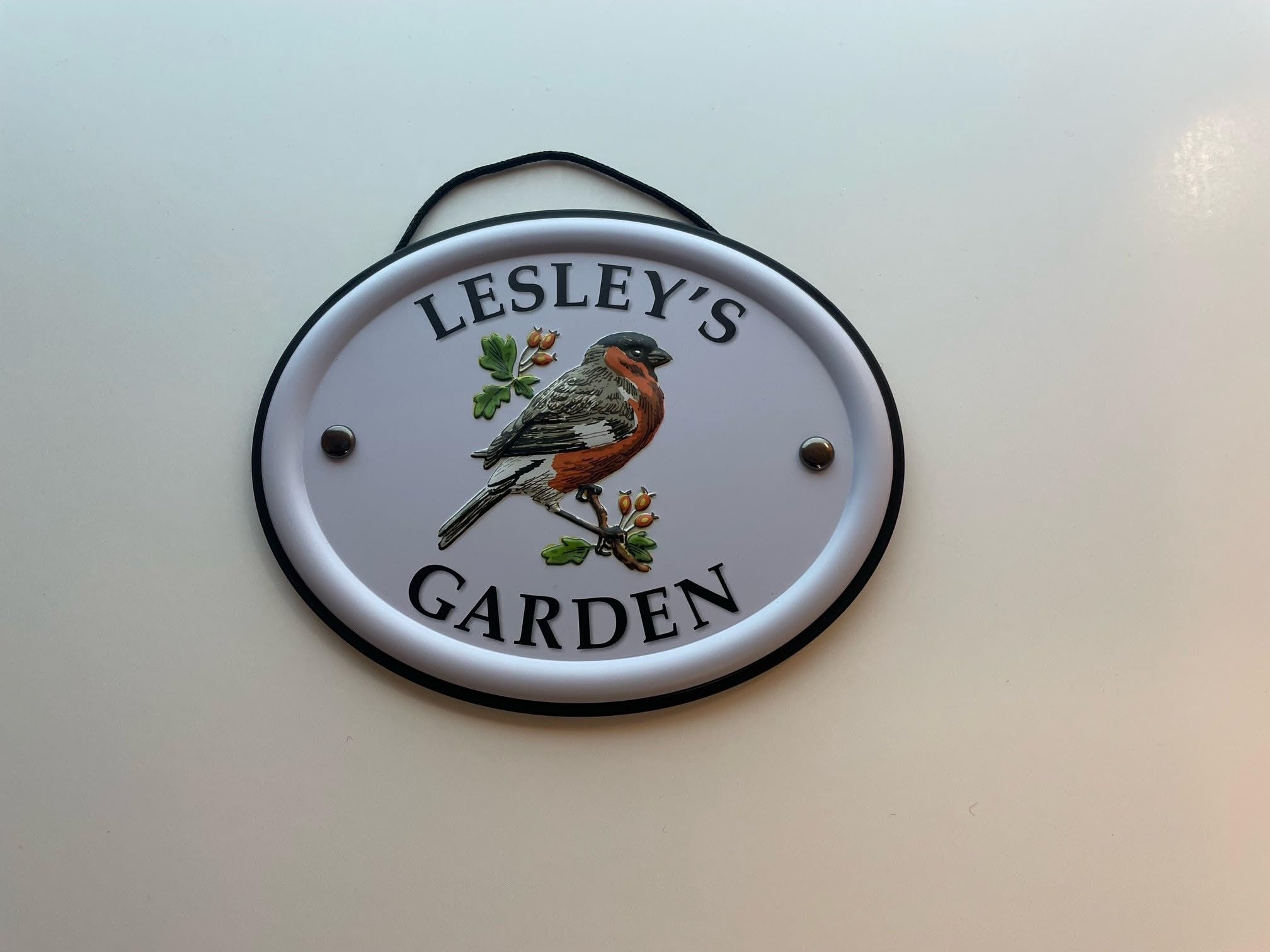 Personalised Embossed Metal Garden Sign 12x15cm – British Bird Design – Outdoor Decorative Hanging Garden Plaque – Weatherproof Metal Sign for Garden Walls Fences or Sheds (Lesley)