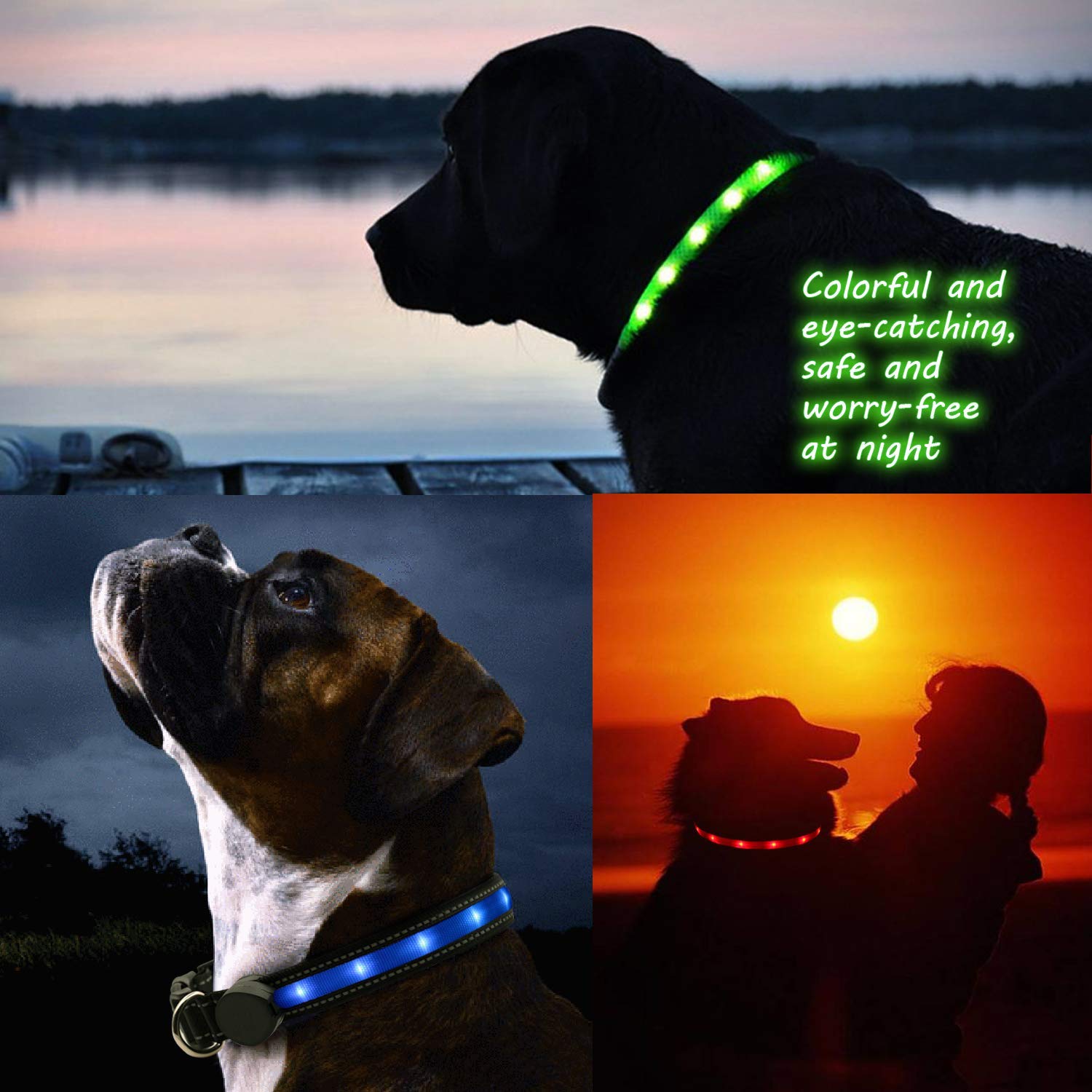 Collar de Seguridad LED para Perro, Recargable por USB, Collar de Nailon para Mascotas con Hebilla de Metal, Resistente al Agua, luz Intermitente, Hace Que tu Perro Sea Visible, Seguro y Visto