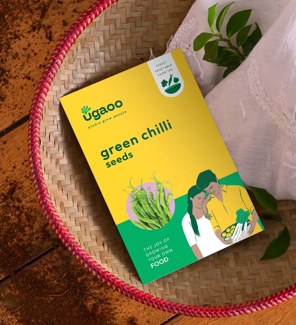 UGAOO Chilli Vegetable Seeds (Green, Pack of 500mg)
