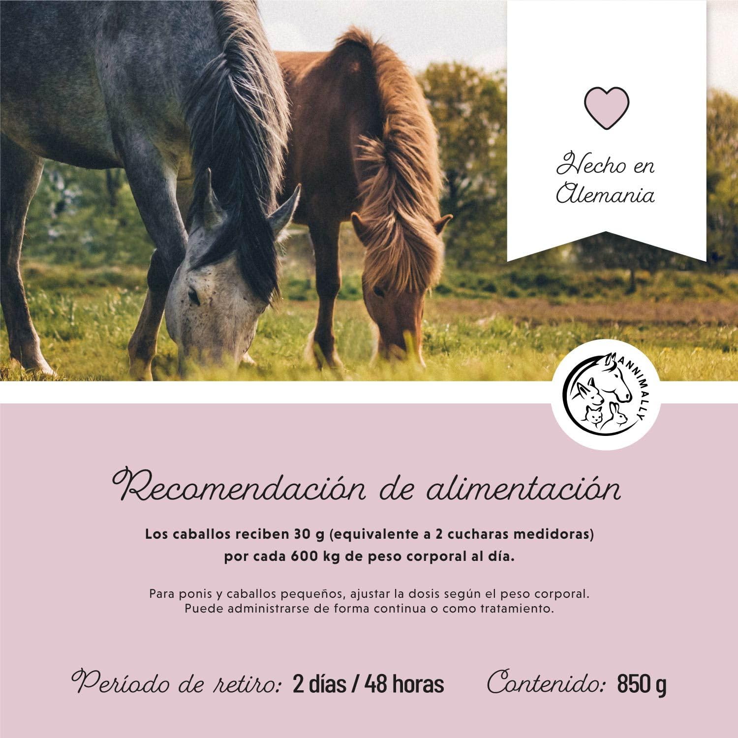 Annimally Fuerza Nerviosa - Polvo Relax para Caballos 850g para la calma en caballos - Hierbas para los nervios con magnesio, triptófano, valeriana, pasiflora y aceite de cáñamo contra la ansiedad, el