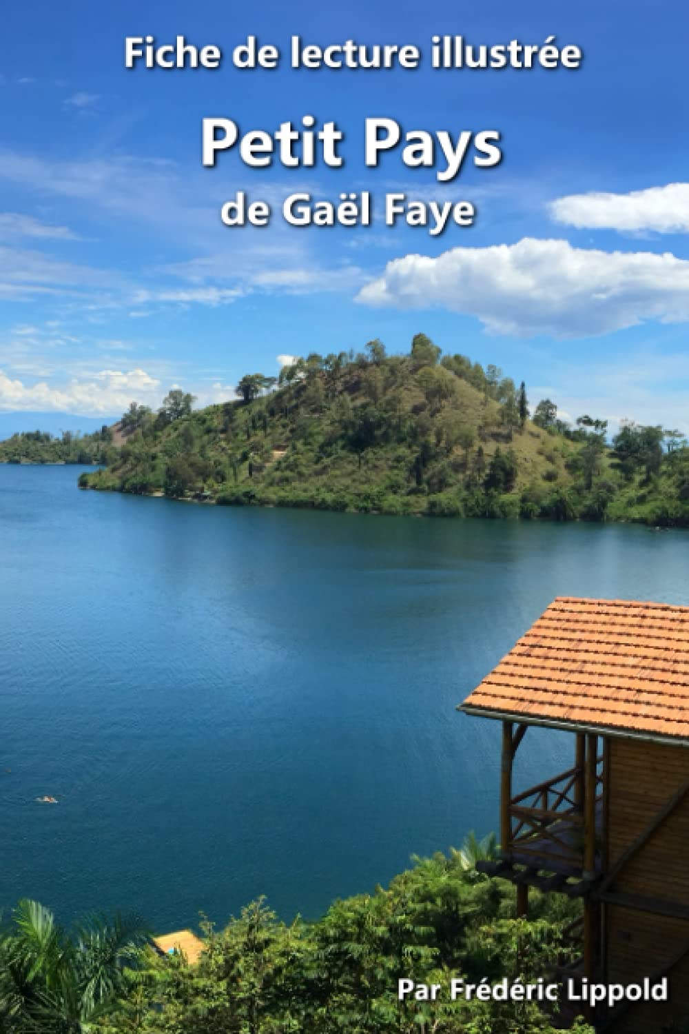 Fiche de lecture illustrée - Petit Pays, de Gaël Faye: Résumé et analyse détaillée de l'œuvre