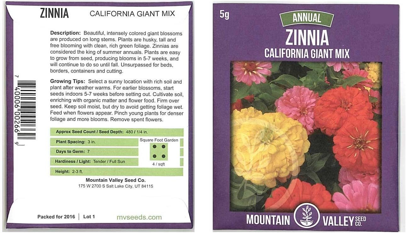 Zinnia Flower Garden Seeds - California Giant Mix - 1 Lb - Annual Flower Gardening Seed