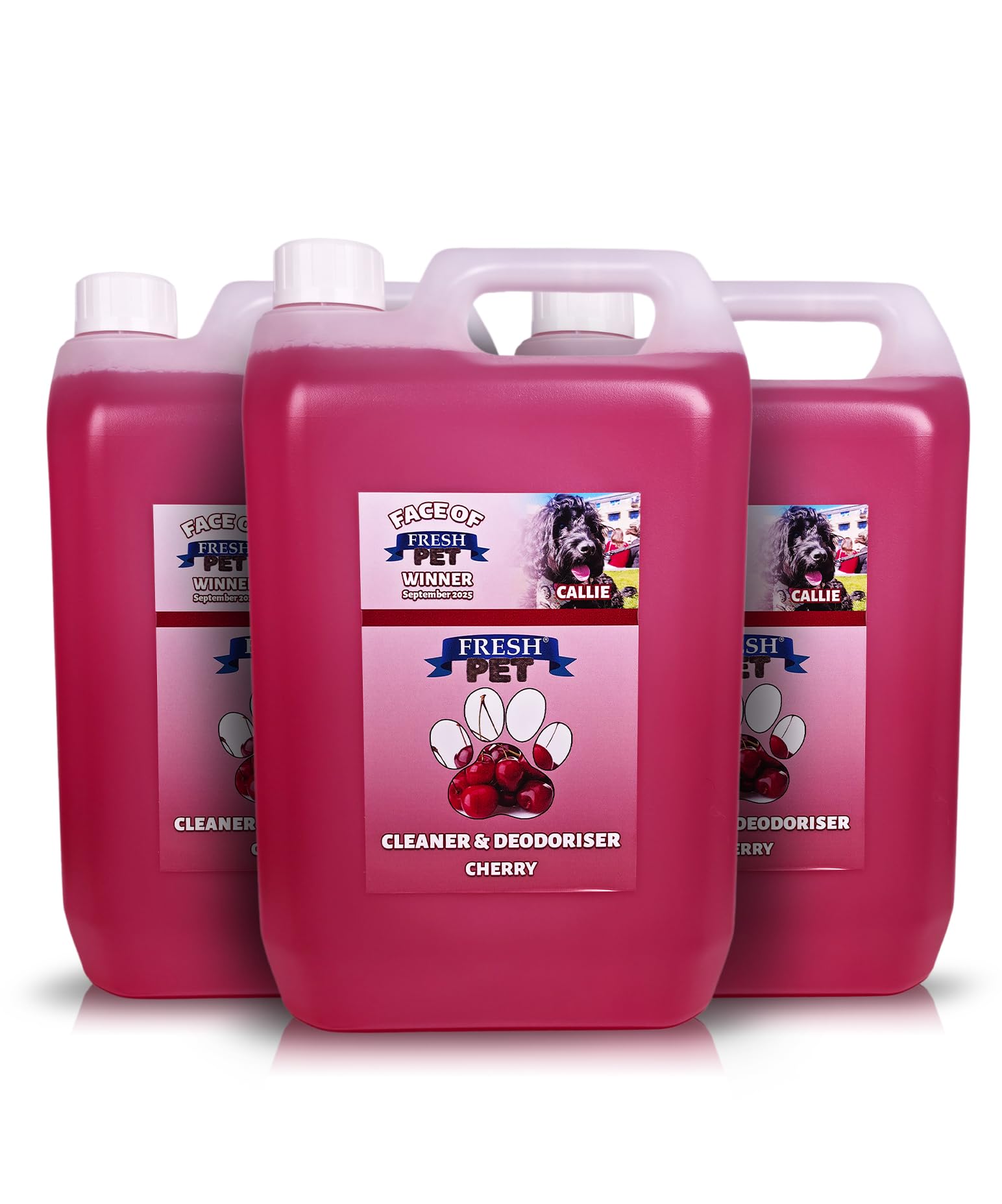 FRESH PET CLEANER DISINFECTANT KENNEL/CATTERY PRE FILLED 5L x 3 (Cherry) — image 1