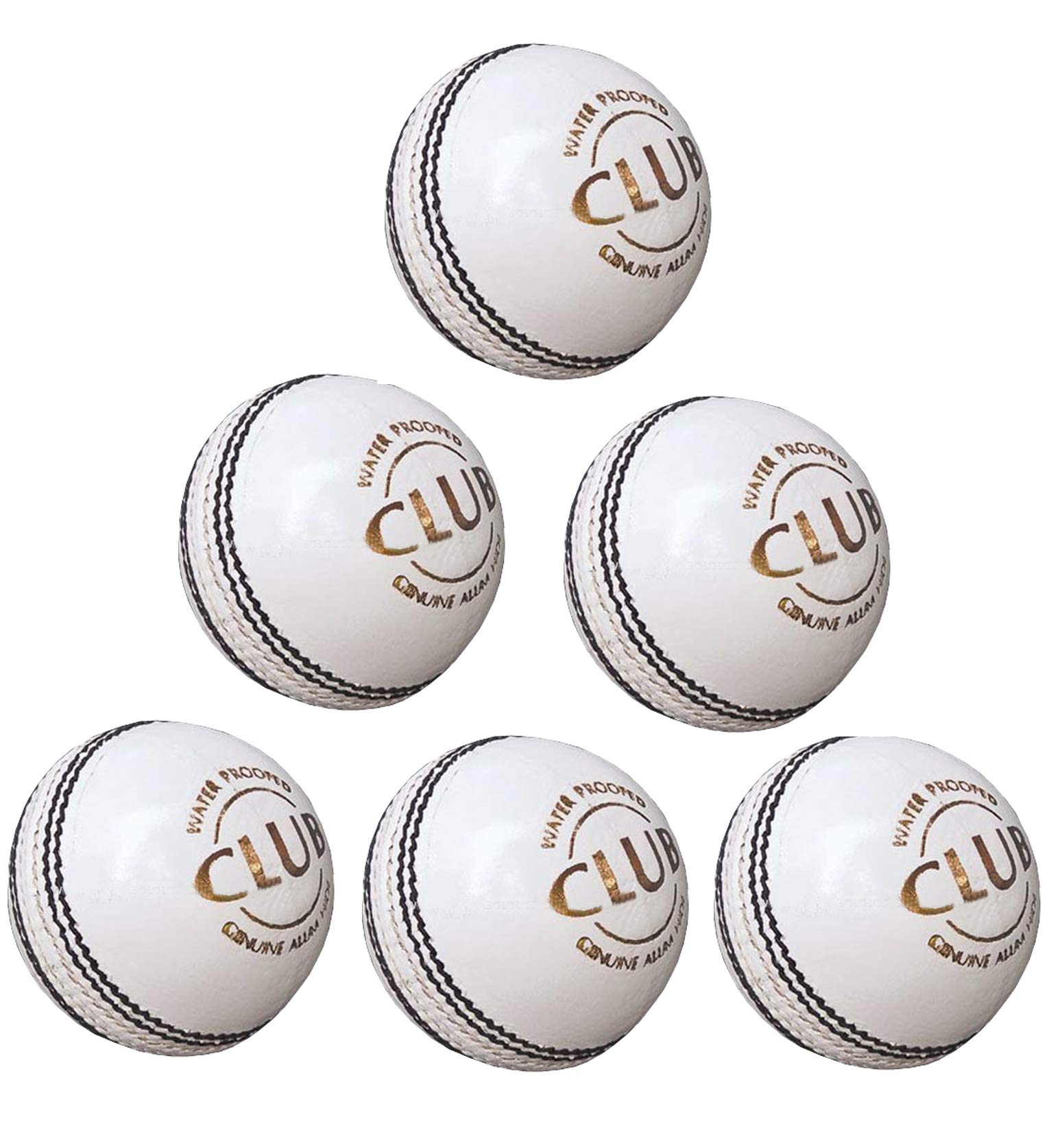 PSE Priya Sports Leather Club Cricket Ball Combo for Practice Pack of 6 (2Part) (White)-picture-11