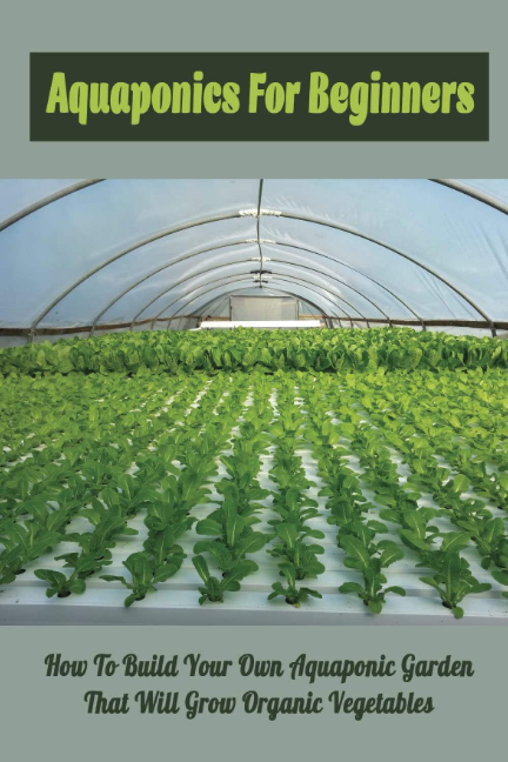 Aquaponics For Beginners: How To Build Your Own Aquaponic Garden That Will Grow Organic Vegetables: Overview Of Aquaponic Garden