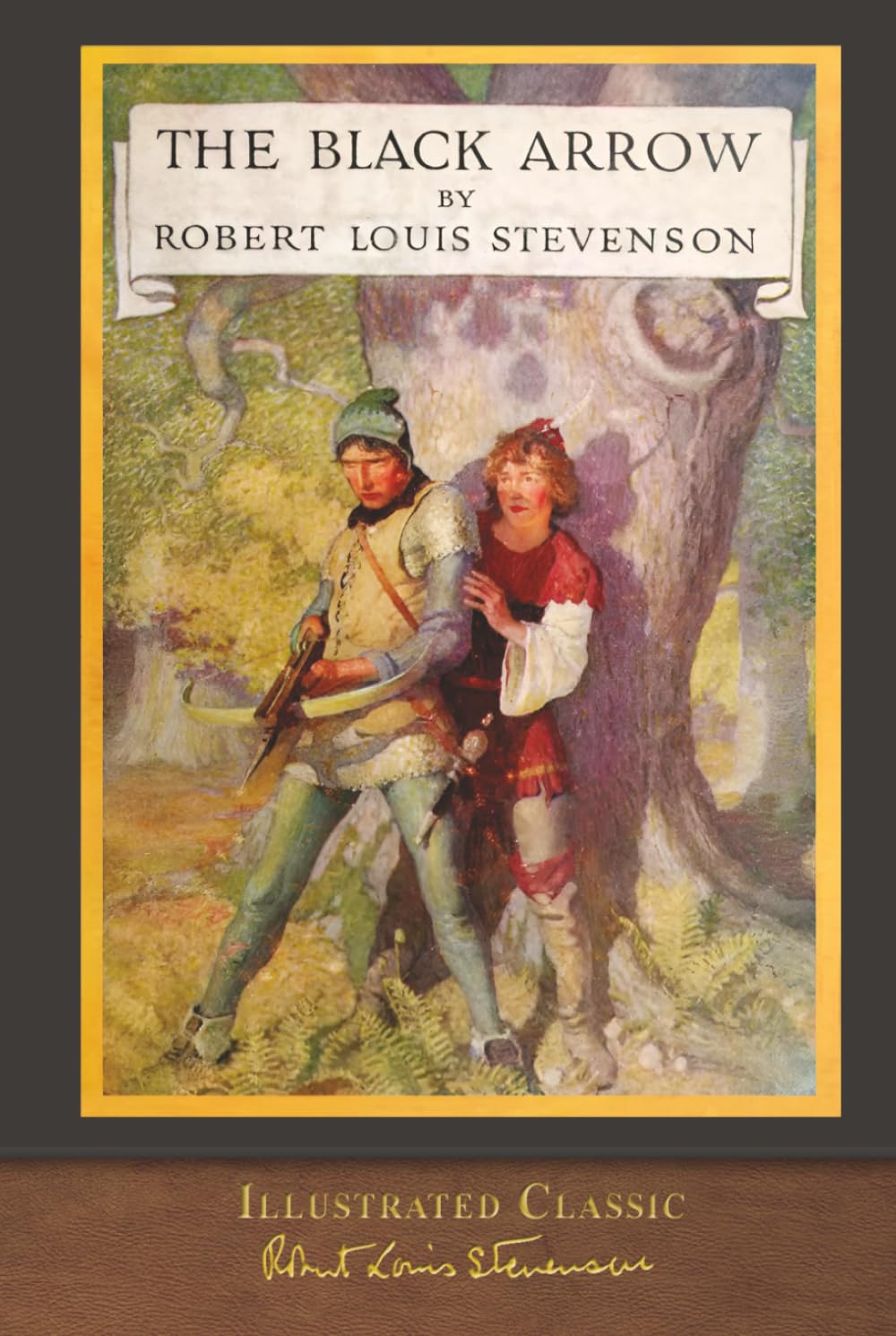 The Black Arrow (Illustrated Classic): Illustrated by N. C. Wyeth