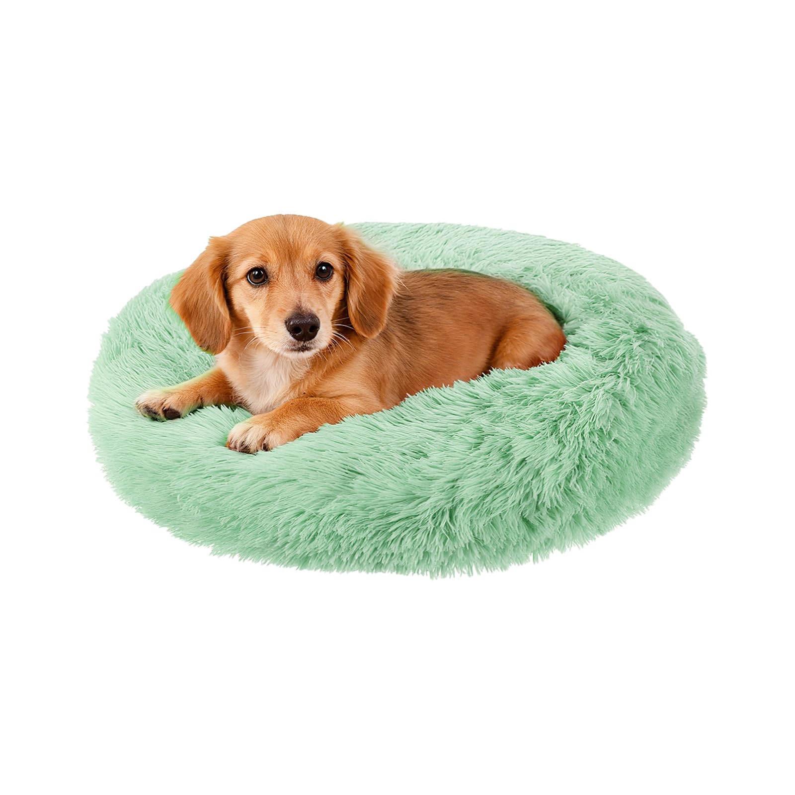 Lit rond pour animal de 40 cm vert pour créer un coin sieste apaisant au salon