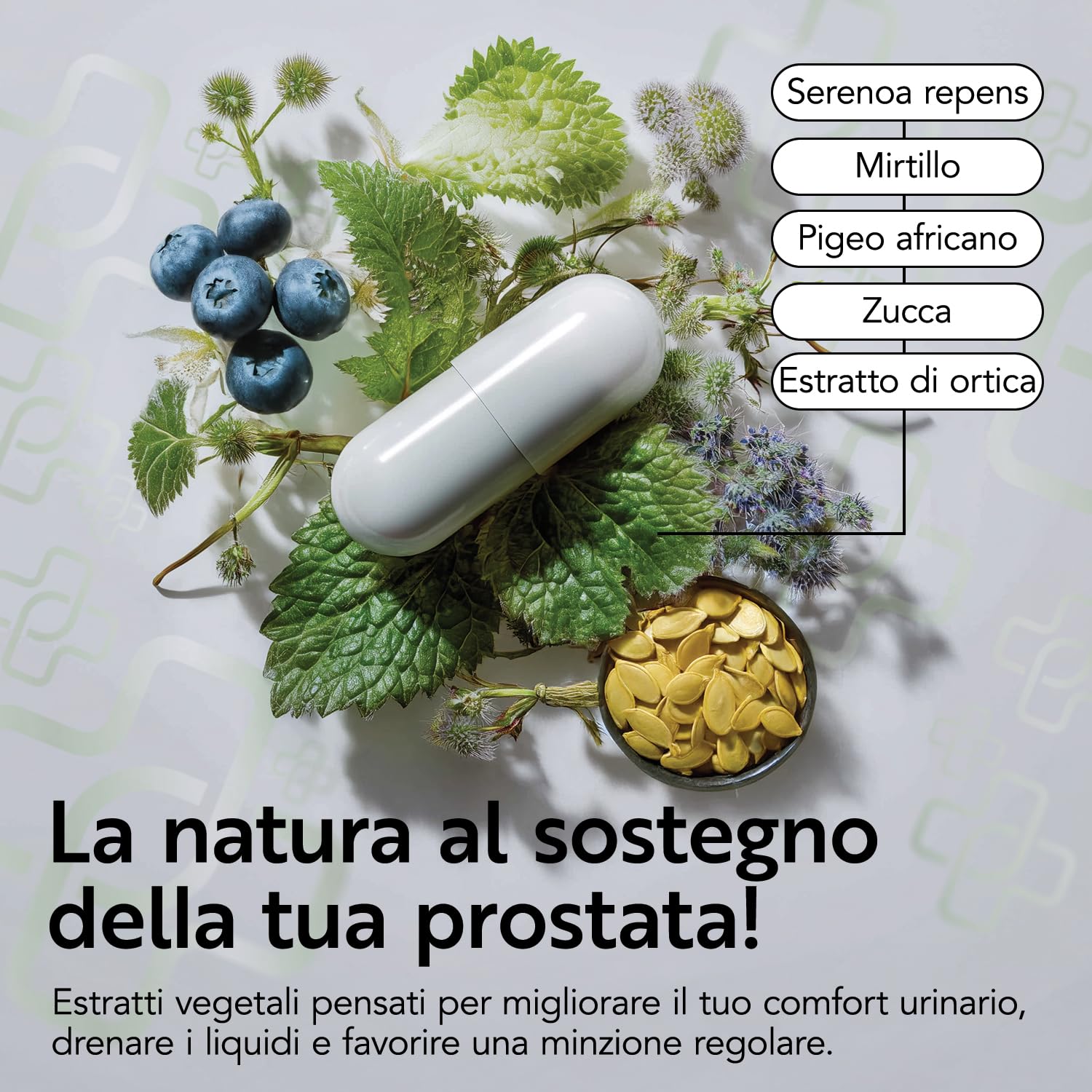 Serenoa Repens Prostata Integratore 700mg PiùLife, 2 al giorno, Saw Palmetto con Pygeum Africanum, Zucca e Ortica, Benessere Delle Vie Urinarie Uomo, Estratto Di Mirtillo Antiossidante, 180 Capsule