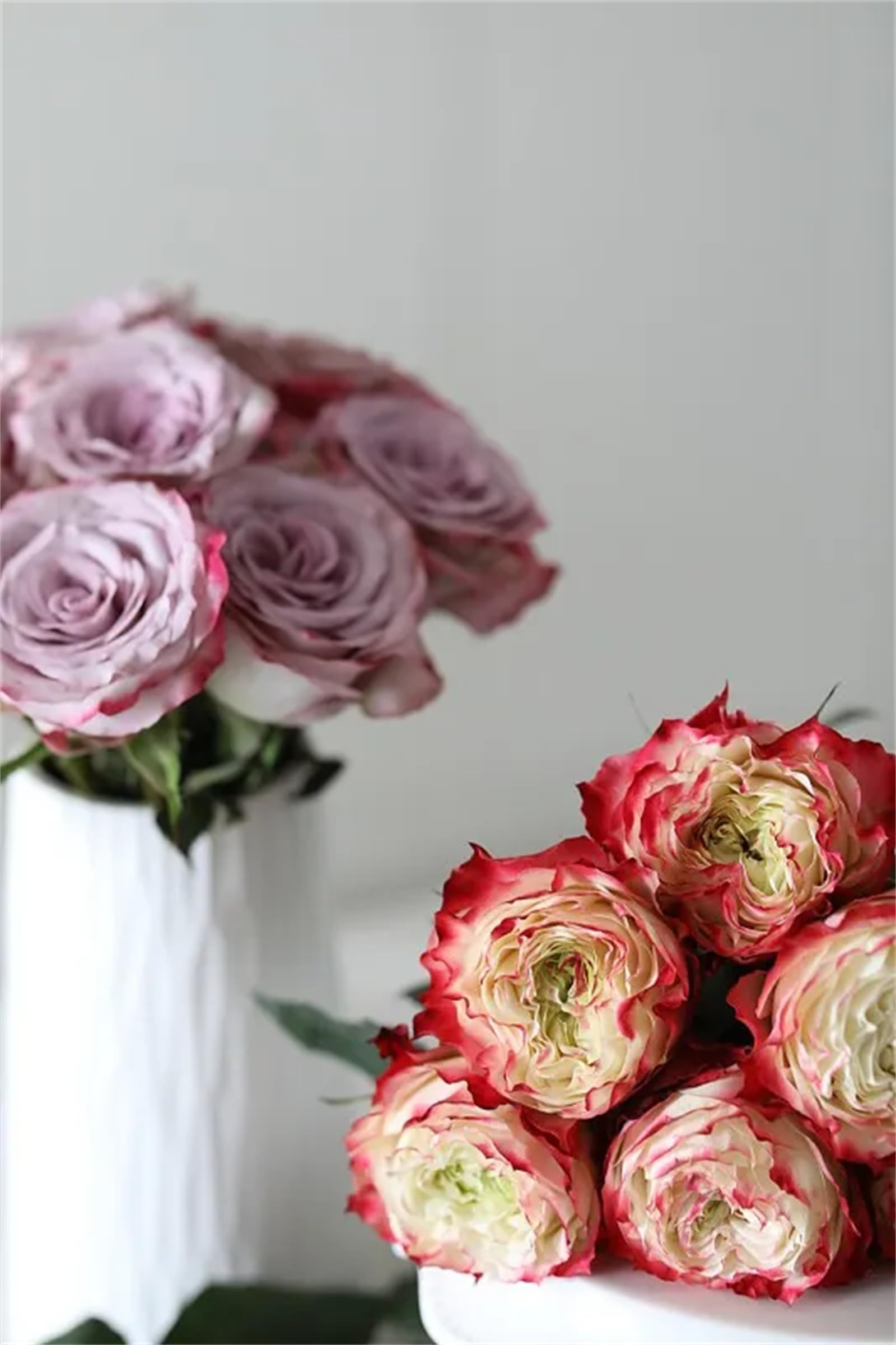 Rose Bulbs, Strong Plant, Easy Plant, Plant Bulbs,Hardy Perennial, Excellent Display, Rare Plants, Mix Greening Flower, Now UK-2bulbs-A