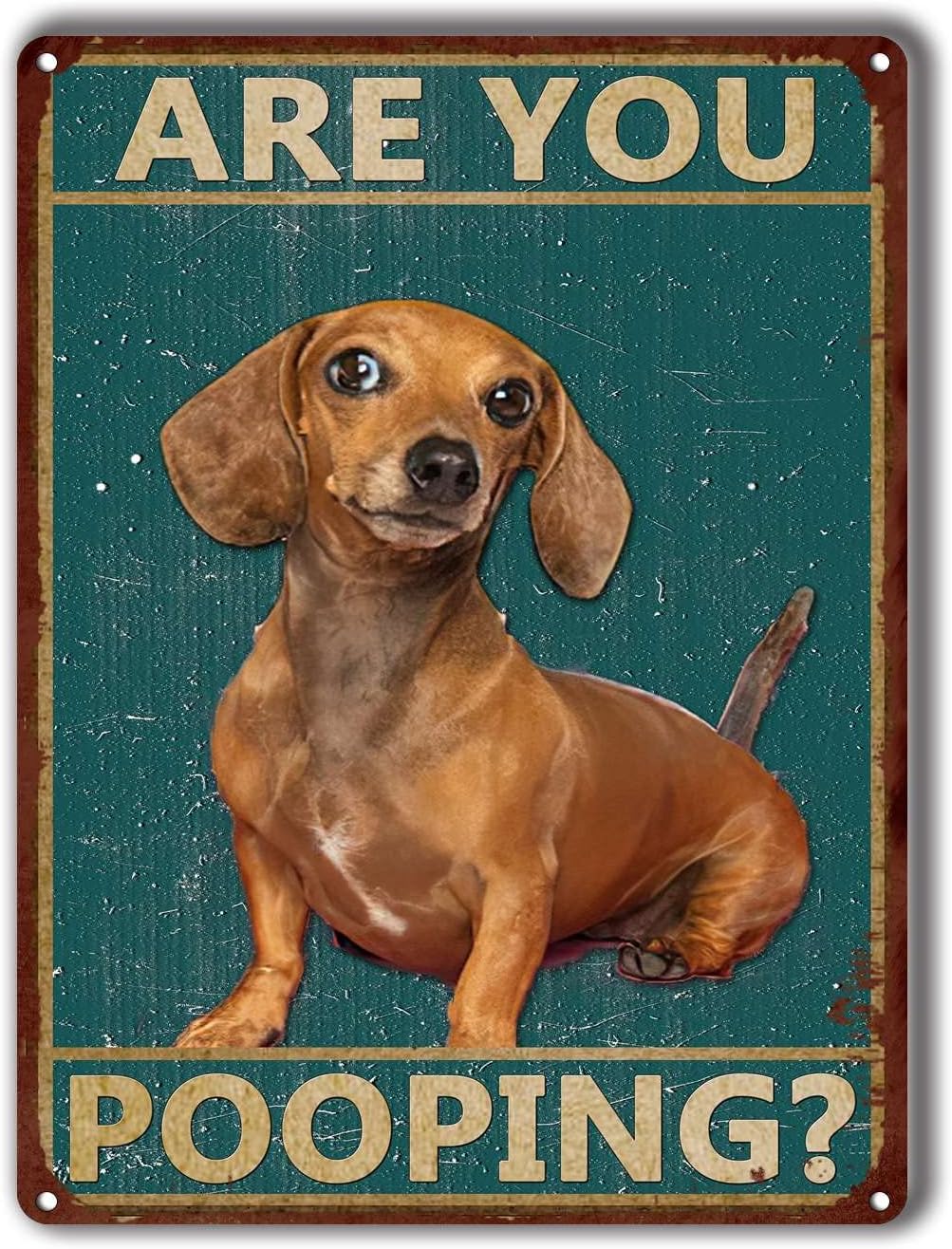 Tin Plaque Retro Iron Painting Dachshund are You Pooping