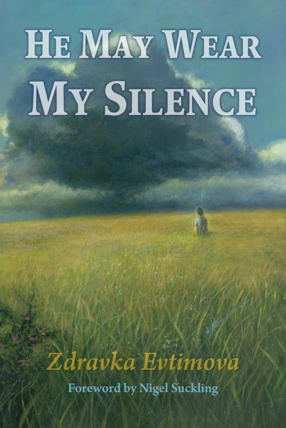Cover of He May Wear My Silence