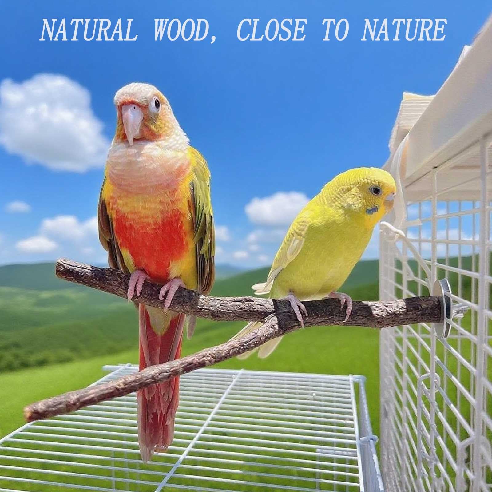 8 PCS Natural Wood Bird Perches Stand for Cage, 5 PCS Parrot Rattan Balls, Wooden Hanging Multi-Branch Perches Platform, Hammock Swing Toy for Parakeets, Budgies, Cockatiels, Conures, Macaws (13 PCS) - image 7