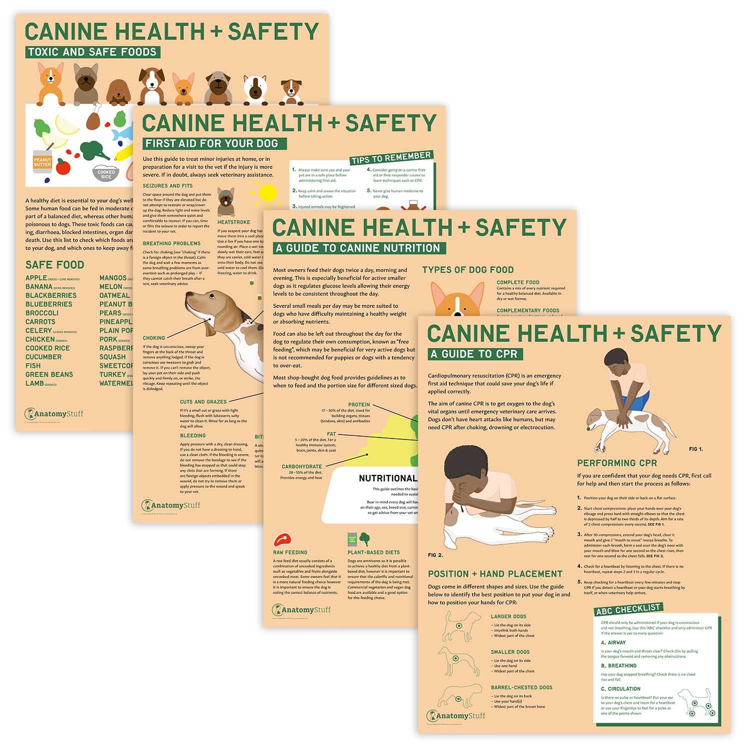 Anatomy Stuff Nutrition + Toxic Foods + Cpr + First Aid Canine Health And Safety 4 Set Collection, Veterinary Practice Posters, 45X60 Cm, Dog Cpr Guide