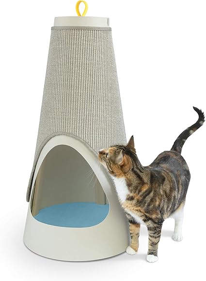 cat scratching cone