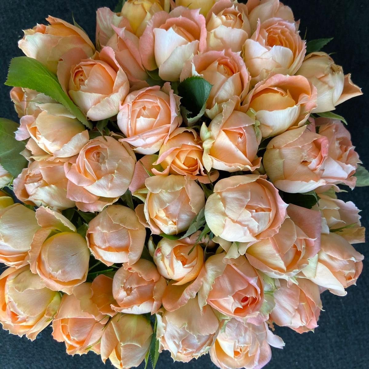 砂漠の薔薇 デザートローズ 鑑賞石 サハラ砂漠 サハラ砂漠の薔薇