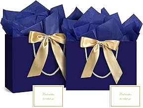 BBILKE Medium Gift Bags - 2 Bags Birthday Gift Bag in Paper with 2 Cards, Large Elegant Gift Bags with Handles for Women Girls Valentine's Day Wedding Party Christmas (Blue)