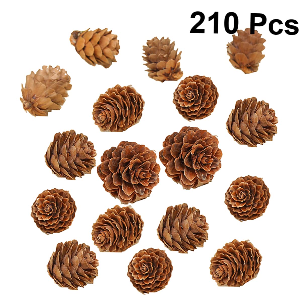 PRETYZOOM 210 Piezas Piñas de Decoraciones Naturales Hogar Piñas Secas para Acción de Gracias y Navidad